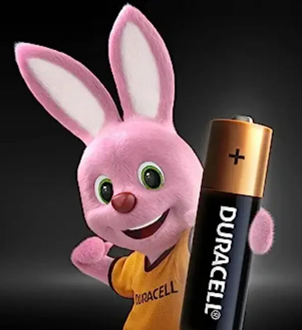 Pila D2 Duracell
